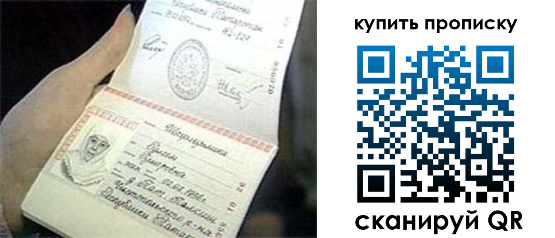 прописка поиск в Смоленске